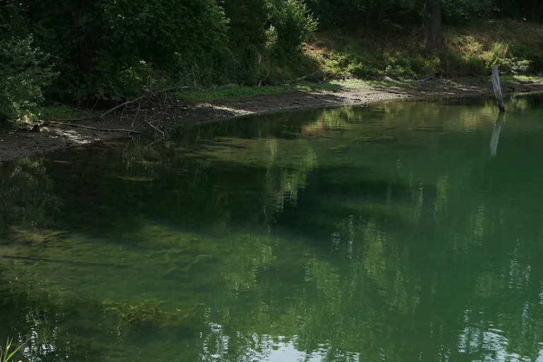 Klare, spiegelnde Wasseroberfläche nach der biologischen Behandlung