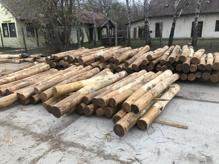 Akác-oszlopok — partvédelmi anyag